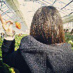 11055414_371711493035639_641009279_a