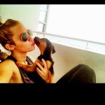 11358053_688866591257730_1739001999_a