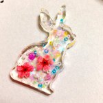 11137902_581326051970033_2117917102_a