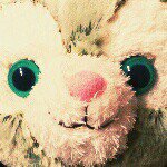 10838690_1517690531818434_626079565_a