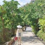 11259662_641563969311922_301418520_a