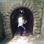 11357636_441671365999013_925156728_a