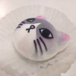 11272407_860178954035664_1980610833_a