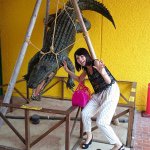 11416892_1448279802156630_1697131654_a