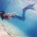 11330719_844686352292610_1011320247_a