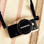 11258206_779569578827905_1051672180_a