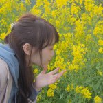 1538397_1547453718838186_694670553_a