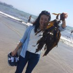 11312441_936450856378083_2006882893_a