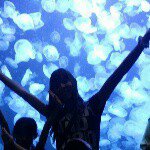 10729406_1374633886162032_2044826177_a