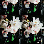 11142782_365590690295455_718142762_a