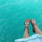 10554240_275795665959950_1704812367_a