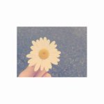 11248909_478151452347454_353157119_a