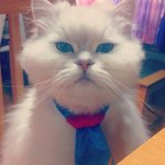 11078801_814306131969632_1433997768_a