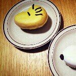 10570021_503211129781486_637073391_a