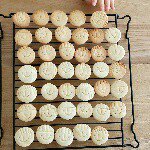 11033010_355250501348065_1558512803_a