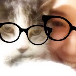 11246743_1581516158768917_355201600_a