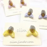 11008211_1567392353519045_410007545_a