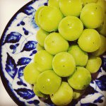 10727623_860116047361938_1367681116_a