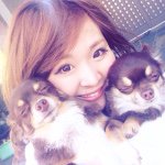 10727636_329750787207864_1939588331_a