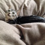 11098181_809706022431381_637969012_a