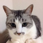 1971389_692355837517092_667860746_a