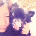 10948739_468733573277879_1490652433_a