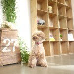 10632293_1503844749855876_524389160_a