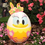 11084798_348953585299120_814580003_a