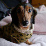 11249270_472685729571567_2001170048_a