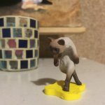 10995010_1374877666163314_2122122380_a