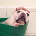 10838877_1524053571199674_2025645916_a