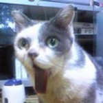 Profile_183201775_75sq_1344949830