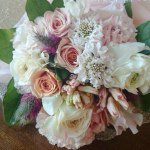 11142145_382368618632157_1643985926_a