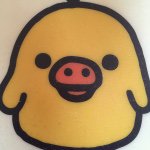 10986266_840850919321694_1291309141_a