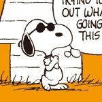 11356812_1671421333089788_1595319761_a