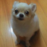 Profile_600433152_75sq_1381373287