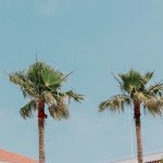 11379915_1444133412557480_2107298843_a