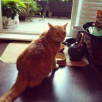 Profile_11602028_75sq_1361685785