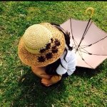 927408_716659508407188_243013899_a