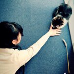 11193137_844256818978854_240698177_a