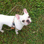 11419098_878163225562852_1655339253_a