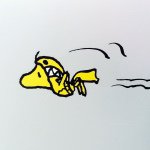 11055635_1013072468722177_542626745_a