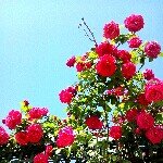 10631966_344846705679989_1469563644_a