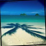 10957384_648514245260114_551023476_a