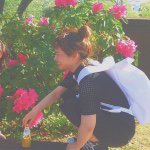 11232516_1593273854272029_1042380387_a