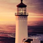 10354500_258411614345662_986063619_a