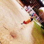 11335849_1640326662857802_1163757900_a