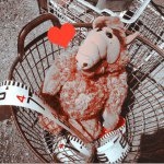 10838353_388437647989661_2000862492_a