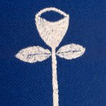 11358927_1484284308529450_433266696_a