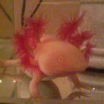 Profile_22564085_75sq_1328611569